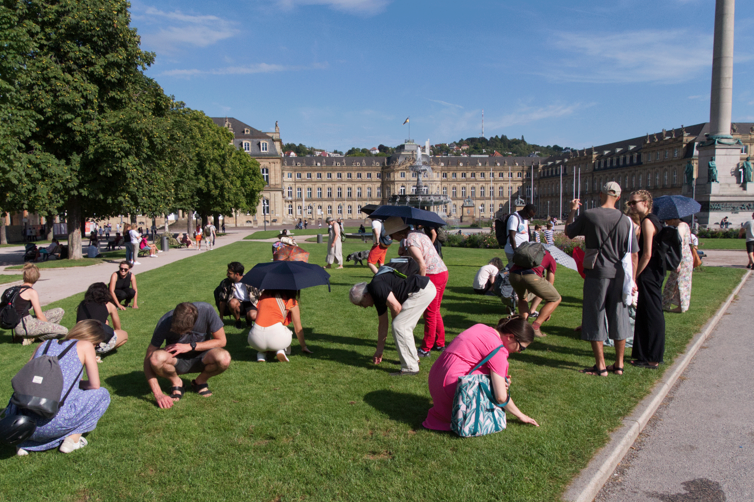 Zu sehen ist die Wiese des Schlossplatzes und die Teilnehmer*innen des Stadtspaziergangs "Stadtökologie zum Anfassen". Diese knien teilweise auf dem Boden und untersuchen Ausschnitte des Rasens.